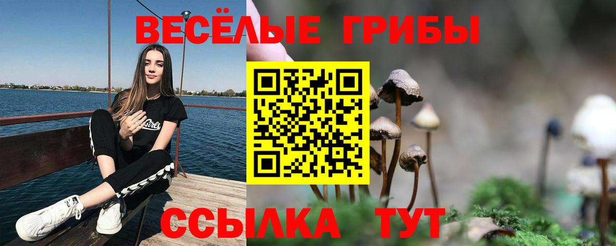 Псилоцибиновые грибы MAGIC MUSHROOMS Сегежа