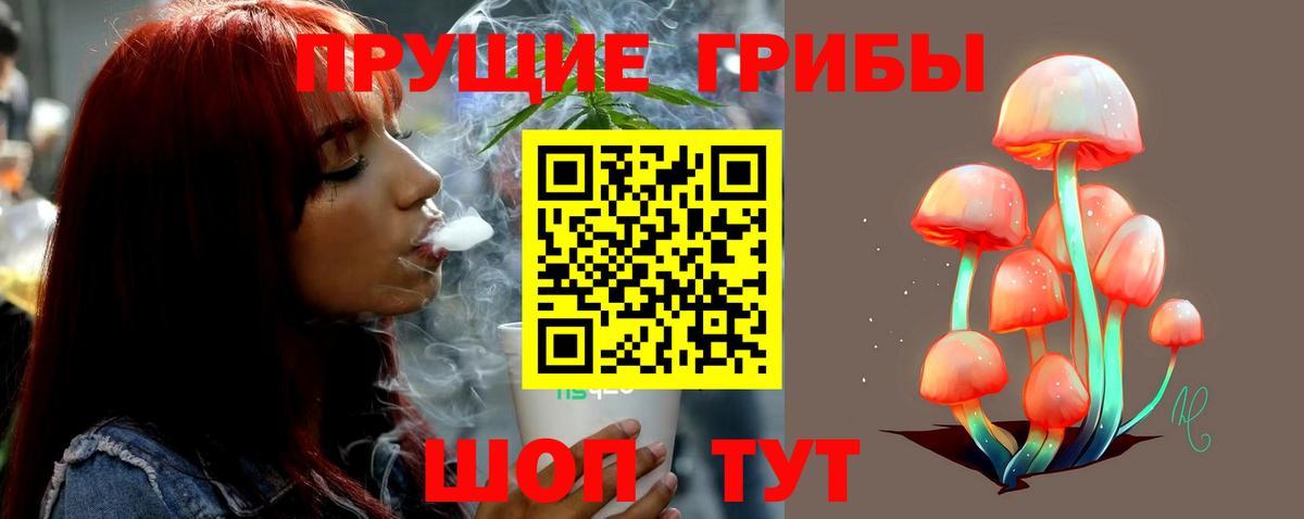 Сегежа  Псилоцибиновые грибы MAGIC MUSHROOMS  Вход с VPN 